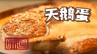 《味道》风味在人间 凉拌海蜇 “天鹅蛋” 滩涂野菜 让你一口尝到大海的滋味！——美味寒假 风味中国·威海篇 20210125 | 美食中国 Tasty China