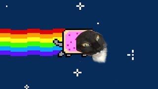 Teh sniper Nyan Cat