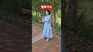 북한에서 온 탈북가수#채다인가수tv 채다인님 한국에서 행복하세요