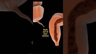 Cure all Stomach Problems by cleaning it Every Morning #stomachproblems #hacks #tips