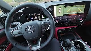 2025 Lexus NX 450H+ Advance Park Assist