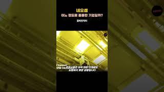 네오셈, 어느정도로 훌륭한 기업일까?