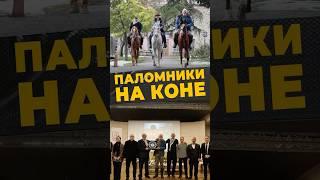 ПАЛОМНИЧЕСТВО СЧАСТЬЯ #мирадио #islamicshorts #news #хадж #мекка #умра #паломники #ислам #коран