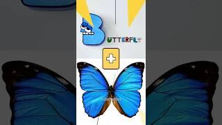 Secret Paper Lab | B #shorts