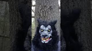 Alexander the Wolf