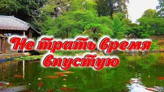 5,5 Правил: Как не тратить время впустую. Живя в Германии сосредоточься на главном.