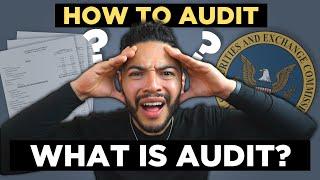 What is Financial Audit | Public Accounting