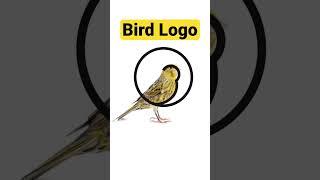 Minimalist logo design  | minimalist logo design ideas | Bird Logo