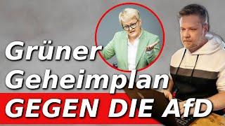 Geheimplan gegen die AfD - wie die Grünen das Parlament aushebeln wollen