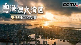 《粤港澳大湾区》第1集 面积几乎是纽约、东京和旧金山三大湾区总和 粤港澳大湾区如何在世界湾区脱颖而出？【CCTV纪录】