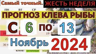 Прогноз клева рыбы на Эту неделю с 6 по 13 ноября 2024 Лунный Календарь рыбака Лунный прогноз клева