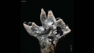 Whrikk - Mephistone [SS7001VA]
