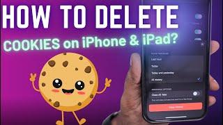 How to Delete COOKIES on iPhone? 