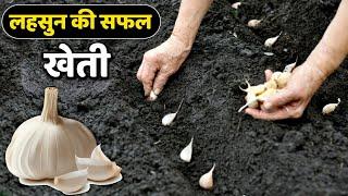 Garlic farming | lahsun ki kheti | लहसुन की खेती | A to Z farming | Advance agriculture