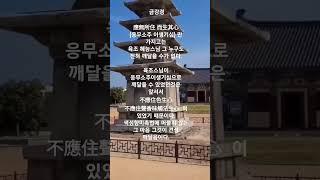 육조 혜능스님이 응무소주 이생기심으로만 깨달았을까?   #shorts #불교