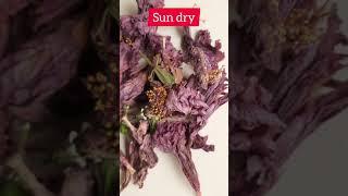 How to make Hibiscus powder at home | Juikari's sustainable lifestyle | #shorts #youtubeshort