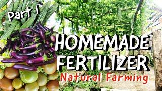 How to Make Fermented Plant Juice and Fermented Fruit Juice | Natural Liquid Fertilizers Part 1 