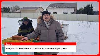  Возможна ли зимовка пчел на пустых рамках? Лишь с пакетами канди? Смотрим результат эксперимента 