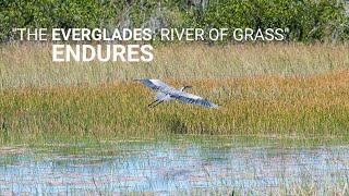 "The Everglades: River of Grass" Endures