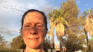 Video journal 25: pack rat season