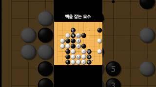 20수 앞을 내다봐야 풀 수 있는 문제 #사활 #바둑