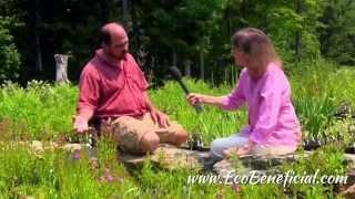 EcoBeneficial Interview: Backyard Bog Gardening