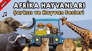 Safari - Afrika Hayvanları Şarkısı ve Hayvan Sesleri