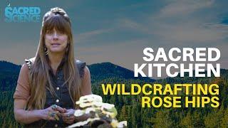 Sacred Kitchen | E1: Wildcrafting Rose hips | Harvesting Plants for Culinary Herbalism