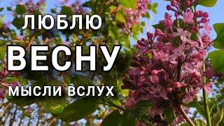 Мысли вслух. О ВЕСНЕ