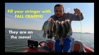 Super Easy Way to FILL Your Stringer with TRANSITIONING FALL CRAPPIE! I did it and so can you!