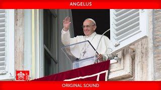 December 1 2024 Angelus prayer Pope Francis