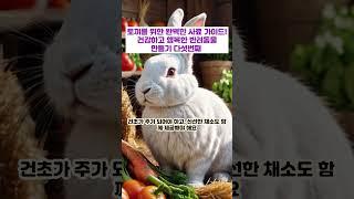 토끼를 위한 완벽한 사료 가이드! 건강하고 행복한 반려동물 만들기 다섯번째 #사랑 #건강 #행복 #안전