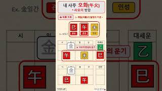 내사주 오화 / 사오미 방합 / 여름 도화 / 계절-여름의 절정의 기운 / 지지론 14편 / 사주명리 / 사주공부 / 사주기초 / #사주명리학강의 /  #사주명리학독학