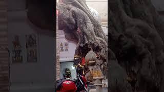 Jai Shani maharaj Hanuman Ji#Bhakti Santosh#viral shot video#YouTube short#please subscribe