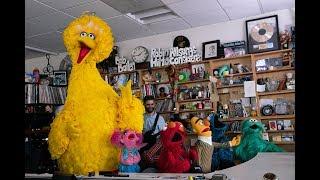 Sesame Street: NPR Music Tiny Desk Concert