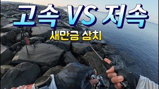 빨리감기 VS 그냥감기 : 뭐가더 잘물까? 새만금 삼치낚시