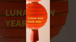 I made in 3d the Lunar new year 2025