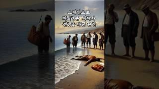 민스미트 작전 #2차세계대전 #첩보작전 #시칠리아 #시체작전 #교란작전 #연합군 #독일군