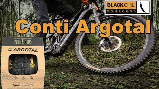 MTB Reifen Conti Argotal Enduro Soft // nicht ganz Optimal