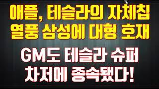 애플, 테슬라의 자체칩열풍 삼성에 대형 호재 GM도 테슬라 슈퍼차저에 종속됐다!