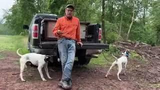 Birddog Training Tip!