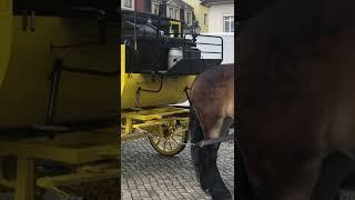 Beautiful Horses carriage. (Pferdekutschen)