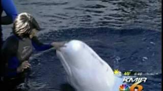 Seaworld Wild Arctic
