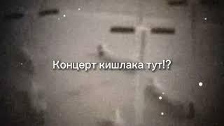 концерт кишлака тут?