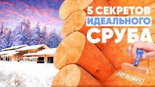 5 секретов строительства идеального сруба из сосны