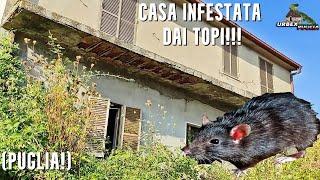 Esploro una casa INFESTATA dai TOPI**MAI VISTA UNA COSA SIMILE!**(PUGLIA!)