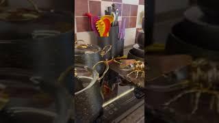 ОТЗЫВ ОТ МОИХ ЛЮБИМЫХ ЗАКАЗЧИКОВ 