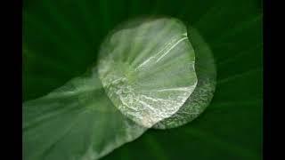 신희숙 / 존재(Sein) / 은닉과누설