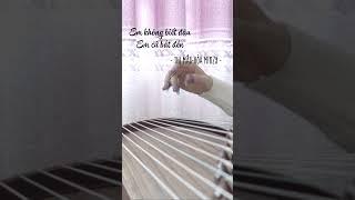 Thị Mầu - Hòa Minzy || Tien Vivy Guzheng #shorts