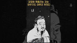 감정에 휘둘리는 자는 아무것도 이루지 못한다 #감정통제 #마인드컨트롤 #감정관리 #성공습관 #동기부여 #감정의힘 #자기계발 #쇼츠대본 #멘탈관리 #기준있는삶